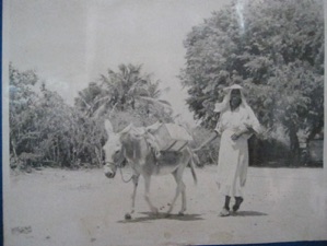 The Bonaire Heritage Foundation